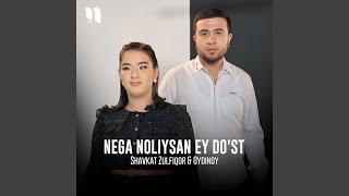 Shavkat Zulfiqor|Oydinoy