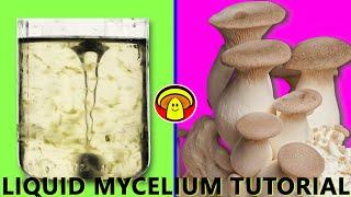How to make Liquid Culture using Honey | Grow Mushrooms