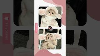 Comment yous!!| Lisa or lena|Dress accessories#shorts#beautiful #fypシ゚viral#trending#cute#