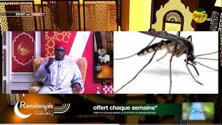Ramadanyate - Jàngat Pr Mame Ousmane N'DIAYE : Les miracles du moustique