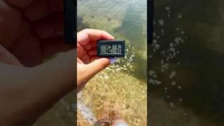 Замеряем температуру моря в посёлке Береговое #береговоекрым #крым2025 #отдыхвкрыму2025 #чёрноеморе
