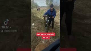 как мы потеряли лошадей!?2 года назад #horse #animal