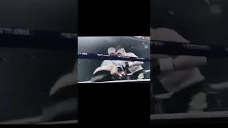 вечер бокса