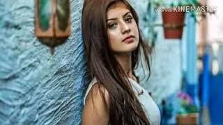 Teri mari New song Dj RaMix Hard bass Dj Saddam Mix official