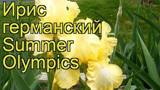 Ирис германский Саммэ Олимпикс. Краткий обзор, описание характеристик iris germanica Summer Olympics