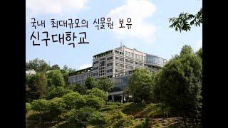 ep44) 4K 신구대학교 캠퍼스 투어/캠퍼스 드론/University Of South Korea/SHINGU UNIVERSITY