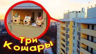 ТРИ КОШАРЫ НАВОДЯТ СУЕТУ на ДОМЕ ! Дрон снял 3 кота на камеру !