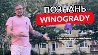 Познань. Какой район выбрать? Винограды (Winogrady). Аренда и покупка недвижимости в Познани