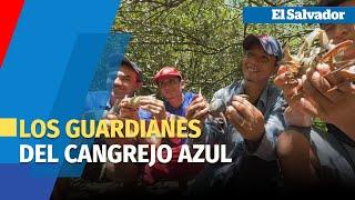 Los guardianes del cangrejo azul, una especie en extinción en El Salvador