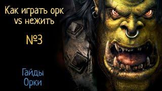 Warcraft 3 Гайды за орка №3. Как играть Орк vs Нежить.