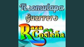 Popurri Sones de Guerrero: Flor de piña / Verdad de Dios / El toro meco / La iguana