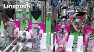 Linapack linear stand up pouch filling and sealing machine - duplex versions