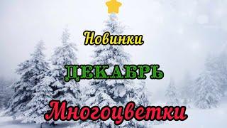 Многоцветные новинки ДЕКАБРЯ // Эстэ // Golden Rose // Annayake  // Степанчук//Белый Кролик//К.Дэман