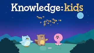 Luna, Chip & Inkie | Firefly Light Show | Knowledge Kids