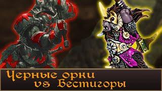 Подробный разбор Бестигоров против Черных орков. Warhammer  Fantasy Lore.