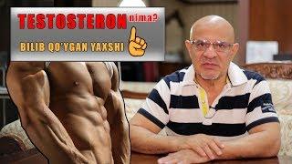 #50 DOKTOR-D:  TESTOSTERON nima? ERKAKLAR BILISHI SHART!