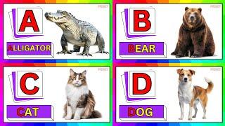 ABCD | Learn English Alphabets A to Z with pictures and video clips | A_for_Apple B_for_Ball