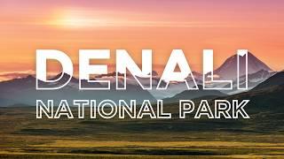 Denali National Park | The Tallest Mountain in North America