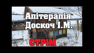 Апітерапія. Доскоч І.М. Бджільництво. Стрім