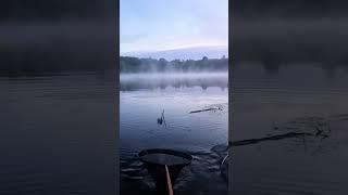 Лучше плохой день на рыбалке, чем хороший на работе  #рыбалка #fishing