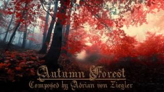 Relaxing Celtic Music - Autumn Forest