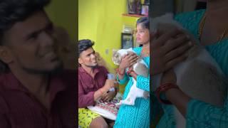 Ada paavi enaku munnadiye enga Emma kitta ena pottu kuduthutyiya #tomjerry #couples #trending