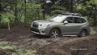 2019 Subaru Forester | X-Mode