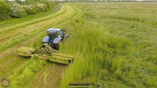 2,50 Meter Roggen Mähen 2021 NEW HOLLAND T7 am Limit! Ganzpflanzensilage XXL