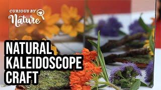 DIY Kaleidoscope (Nature Craft)