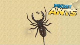 УБИЛ ТЕЛИФОН В POCKET ANTS (ОН МНЕ ДАЛ МНОГО...) #pocketants