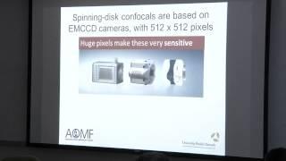 A Comparison of Microscopy Optical Sectioning Techniques