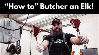 How to Butcher an Elk | Complete Breakdown of all of the Elk Meat | By The Bearded Butchers