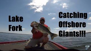 Lake Fork Bass Fishing: Big Bass Offshore