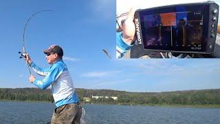 Поиск РЫБЫ по ЭХОЛОТУ  Lowrance Elite FS 9. Работа с эхолотом.