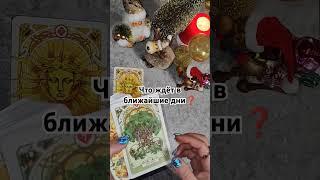 В ближайшие дни #таро #таролог #tarot #гадание #гаданиеонлайн #таропрогноз #тароонлайн #раскладтаро