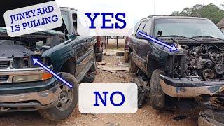 Choosing a Junkyard LS Swap engine to Pull