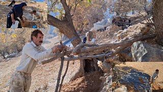 Iran nomadic life: Jahangir's attempt to build a shelter for dogs in the mountains