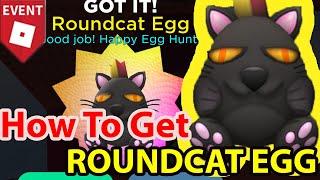 Roblox How To Get Roundcat Egg In Super Doomspire Agent Of Hunt 2020 Shadow Weapons All Codes Brickb