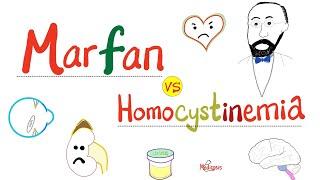 Marfan Syndrome vs. Homocystinemia - Biochemistry & Genetics