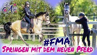 Lia & Alfi - Ein Tag am Stall - Springen mit dem neuen Pferd