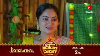 Mamagaru - Promo | 16th Oct 2024 | Star Maa Serials | Mon-Sat at 2 PM | Star Maa