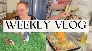 Weekly Vlog / Frugal Fun Mum