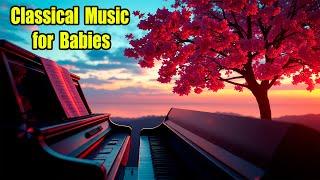 Classical Music for Babies | Классическая музыка для малышей.