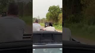 People’s Vs Elephants Jungle Safari #elephant #junglesafari #jungle #roadtrip #youtubeshorts #road