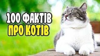 100 ФАКТІВ ПРО КОТІВ | ЦІКАВО ЗНАТИ