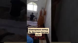 Да болой Зино капид Шавхарша ба Дига Зан кати