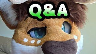 Q&A With A Soft Deer