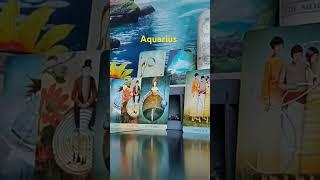 ️ Aquarius-Adventure reveals PurposeTimeless