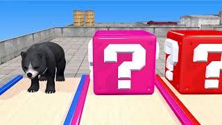 Cow Mammoth Elephant Lion Buffalo Fox Guess The Right Door ESCAPE ROOM CHALLENGE Animals - EP10