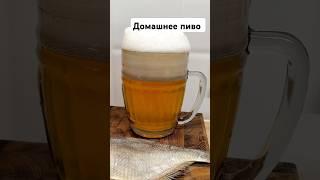 Пиво домашнее #рецепт #пиво #beer #домашнеепиво